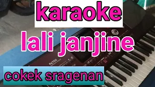 Karaoke cokek lali janjine#lali janjine versi cokek sragenan tanpa vokal