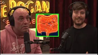 Mr.Beast Talks To Joe About His Chrons Disease