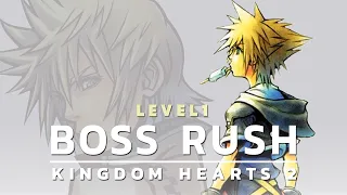 Story Boss Rush l KINGDOM HEARTS 2 (Level 1/ Critical/No Damage)
