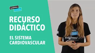 El sistema cardiovascular