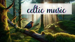 【Celtic Fusion Dreams】 Celtic Music ~ Background Music for Work and Study ~