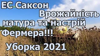 Уборка 2021. ЕС Саксон врожайність, натура та настрій Фермера!!!