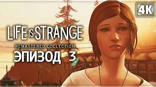 LIFE IS STRANGE REMASTERED ➤ Прохождение - [4K] ─ Эпизод 3: Теория Хаоса ➤ Геймплей На Русском