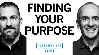 How to Find Your Purpose in Life | Dr. EJ Chichilnisky & Dr. Andrew Huberman