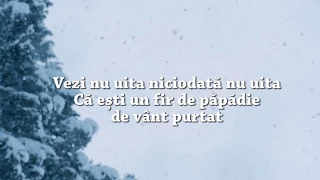 Vili Dulă - Vezi nu uita    (lyrics)