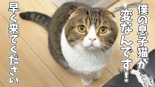 息子猫の様子が変だとパパ猫が訴えてくるので後ろをついて行ってみたら、こんなことになってました…汗