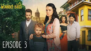 Wounded Birds - 3 serija - [Lietuvių k. subtitrai] Turkų drama | Yaralı Kuşlar 2019