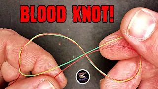 BLOOD KNOT | Best Knots for Tying Fishing Lines Together Part 1