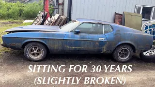 Reviving A 1973 Ford Mustang Fastback After 30 Years Of Rotting In Someone’s Yard