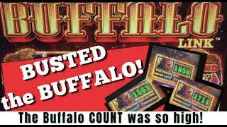 See this! 🦬 The BUFFALO count was so high on Buffalo LINK! We had to BUST it!@plazahotelandcasino