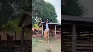 Subscribed me #shorts #2021#tiktok #stunt #horse#2022 #fishing #girl #tiktokvideo#viral#shortsviral