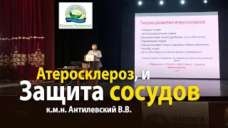 Атеросклероз. Защита сосудов - к.м.н. Антилевский В.В.