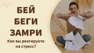 Стресс реакция "Бей, беги, замри". Почему именно так?