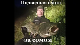 Подводная охота на сома. Погоня за трофеем.