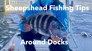 Sheepshead Fishing Tips Around Docks