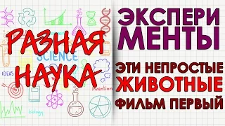 Эксперименты. Эти непростые животные. Фильм первый. HD