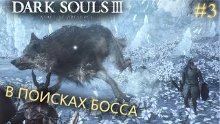 Dark Souls 3 Ashes of Ariandel DLC Прохождение #3 | В ПОИСКАХ БОССА