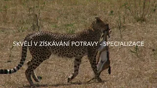 Hlavní znaky savců