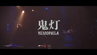 NEMOPHILA / 鬼灯 [Official Music Video]