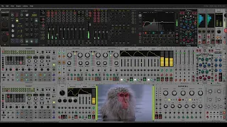 Stone In Focus VCV Rack Cover Aphex Twin