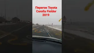 Перегон Toyota Corolla Fielder 2019 в Липецк