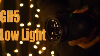 3 Tips For Shooting With The GH5 | Low Light