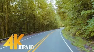 4K Scenic Forest Drive - Road to Artist Point, WA - 6 HRS (WITH MUSIC)