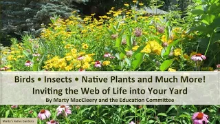 Birds, Insects, Native Plants and Much More!