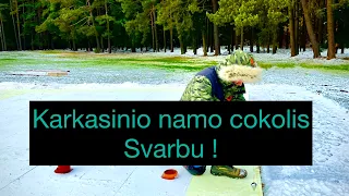 #Karkasinio #namo #cokolio #konstrukcija  #Tropa