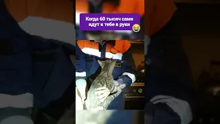 Спасение ДОРОГОГО котика #shorts