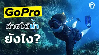 แนะนำ! เทคนิคการใช้กล้อง GoPro ถ่ายใต้น้ำ!
