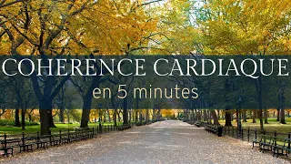 COHERENCE CARDIAQUE 5 minutes | balade dans Central Park