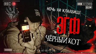 Ночь на Кладбище с подписчицами † Чёрный кот на могиле † Голоса с того света † Сеанс ЭГФ | ФЭГ