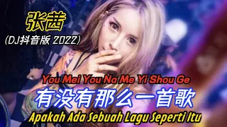 张茜 - 有没有那么一首歌 (DJ抖音版 2022) You Mei You Na Me Yi Shou Ge【Apakah Ada Sebuah Lagu Seperti Itu】