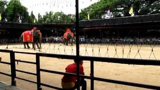 IOI 2011 - The Elephant Show - Football