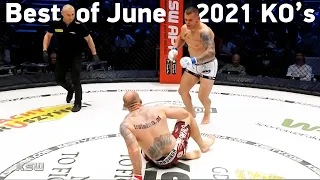 MMA's Best Knockouts of the June 2021 | Part 1, HD