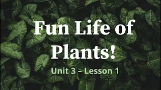 Science - Grade 2 - Life of Plants (Teacher Yhan)