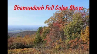 Shenandoah NP Fall Color