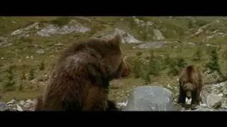 L'Ours (1988) - the cougar scene