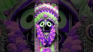 Odia jagannath New Bhajan!!Jay jagannath 4k fullscreen 🥰whatsApp status#jagannath#shorts