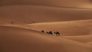 Most beautiful music. Enchanting Desert. Красивая музыка для хорошего настроения.