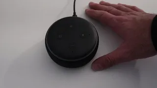 How To Reset Echo Dot