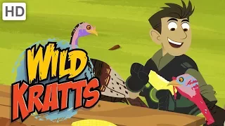 Wild Kratts - Happy Turkey Day (Full Episode)