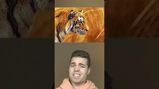 CETTE MÈRE A COMBATTU UN TIGRE POUR SAUVER SON FILS !! 😲😱