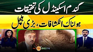 Investigation of the wheat scandal! | Horrible revelations | Big upheavals | Geo News