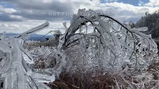 12-17-2022 Warm Springs, VA - Ice Storm Aftermath and Insane Accumulation