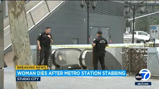 Woman dies after being stabbed in neck on Metro train