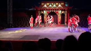 Chinese circus  The show of girl gymnasts on bicycles  Китайский цирк    YouTube