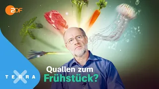 Mordshunger – Wie schmeckt das Essen der Zukunft? – Leschs Kosmos [Ganze TV-Folge] | Harald Lesch