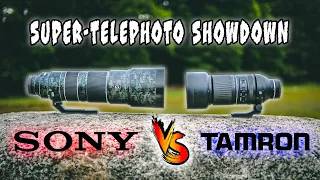 Tamron 150-500mm Vs Sony 200-600mm. Best super-telephoto lens for E mount